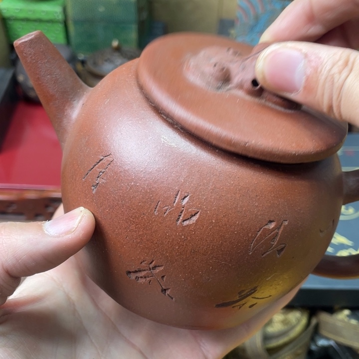 贝壳摆件烽云恩专属精选链接