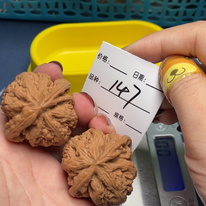 文玩核桃把件粗筋41