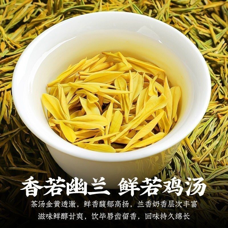 黄金芽安吉珍稀绿茶2025新茶罐装125克