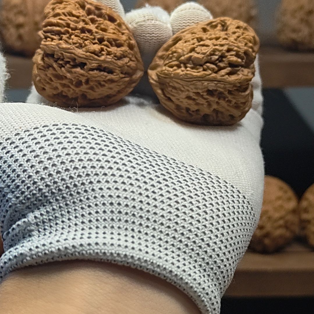 知***止涿鹿南疆石40福利对