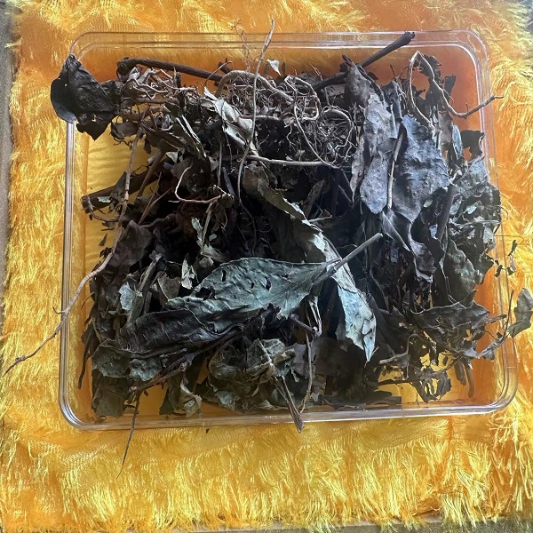 【三妹助农】现收山货（消炎大王）150g/250g/500g