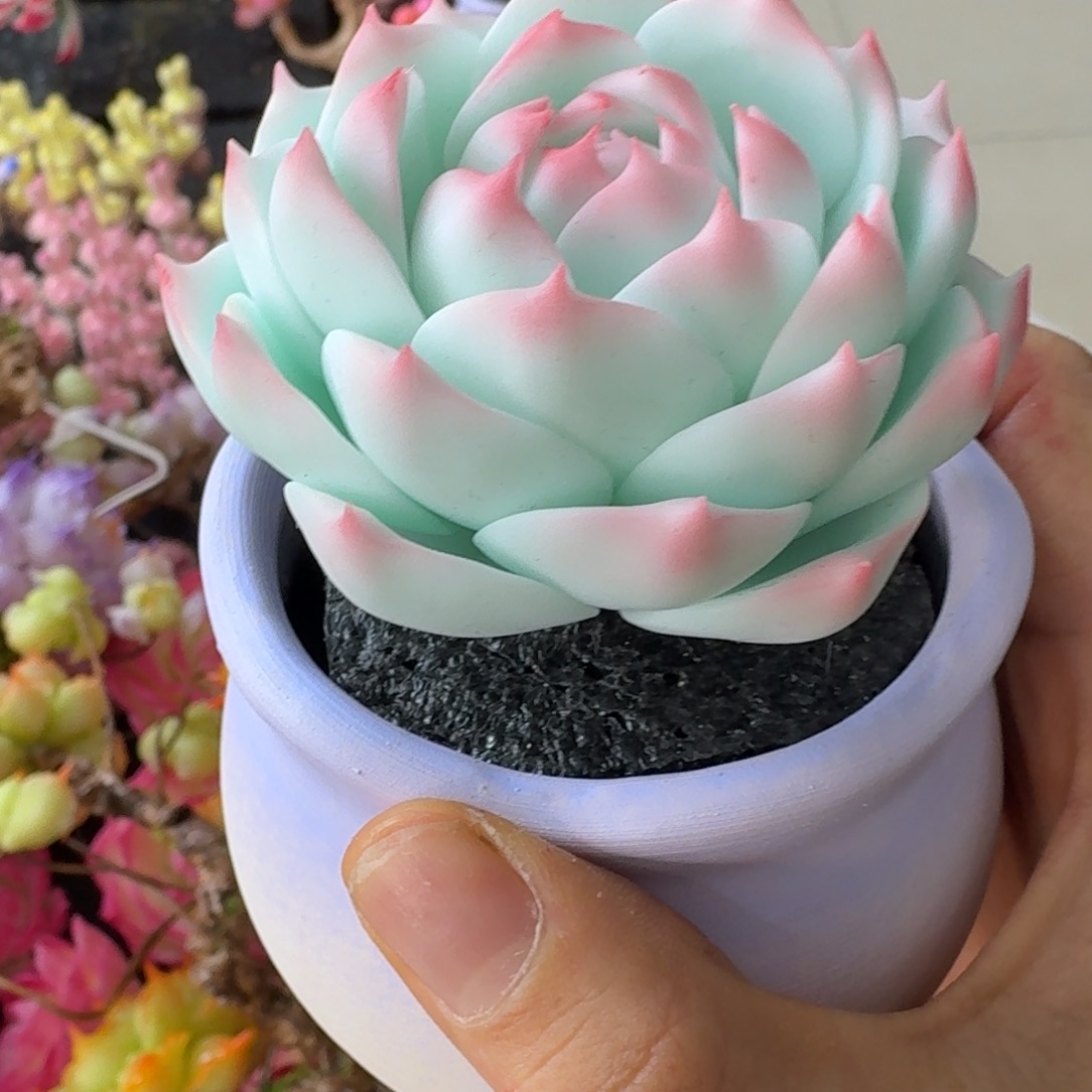 树脂44号送盆盆噢噢噢噢