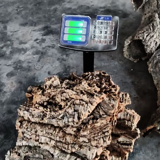 完全开放顺顺利利，平平安安