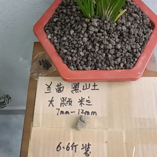 风***约兰菌黑山土大颗粒6.6斤