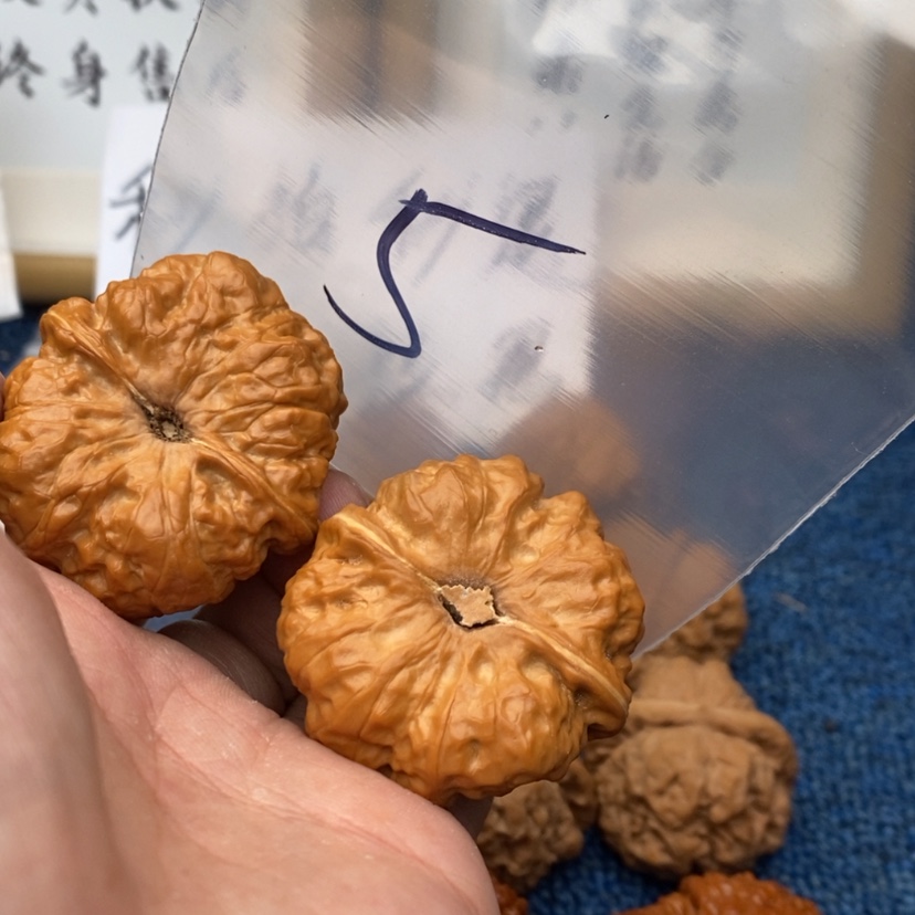 【闪购商品】文玩核桃把件753735537537537537