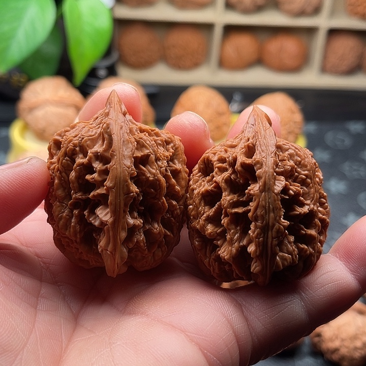 文玩核桃把件九龙筋边41