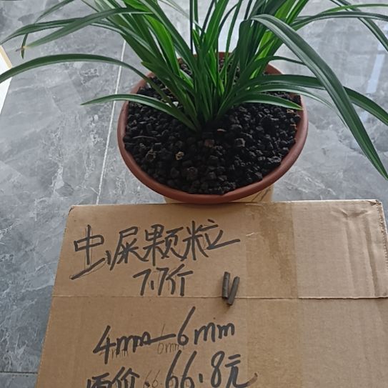 麻***猴兰菌颗粒虫屎颗粒7.7斤