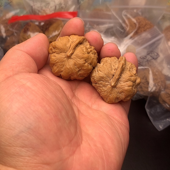 核桃一帆风顺一根筋