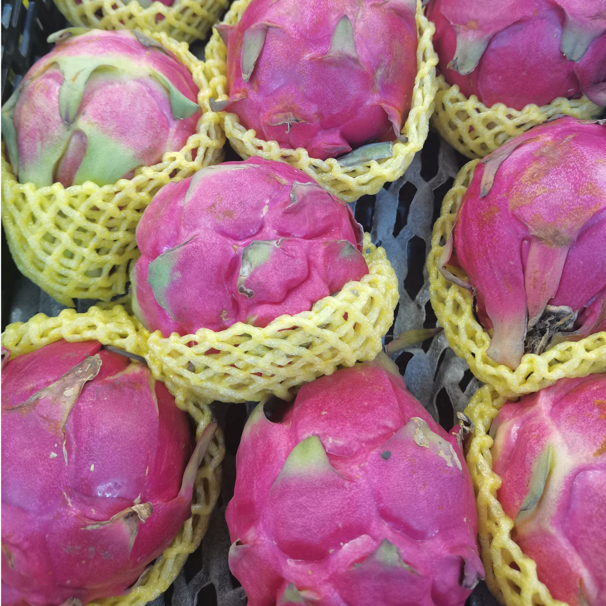 海南红心火龙果红肉果皮薄2kg