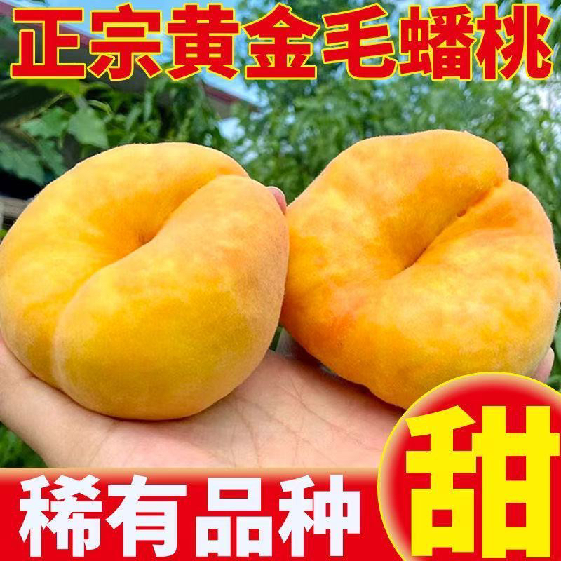 黄金毛蟠桃新鲜应季水果甜嫩多汁皮薄