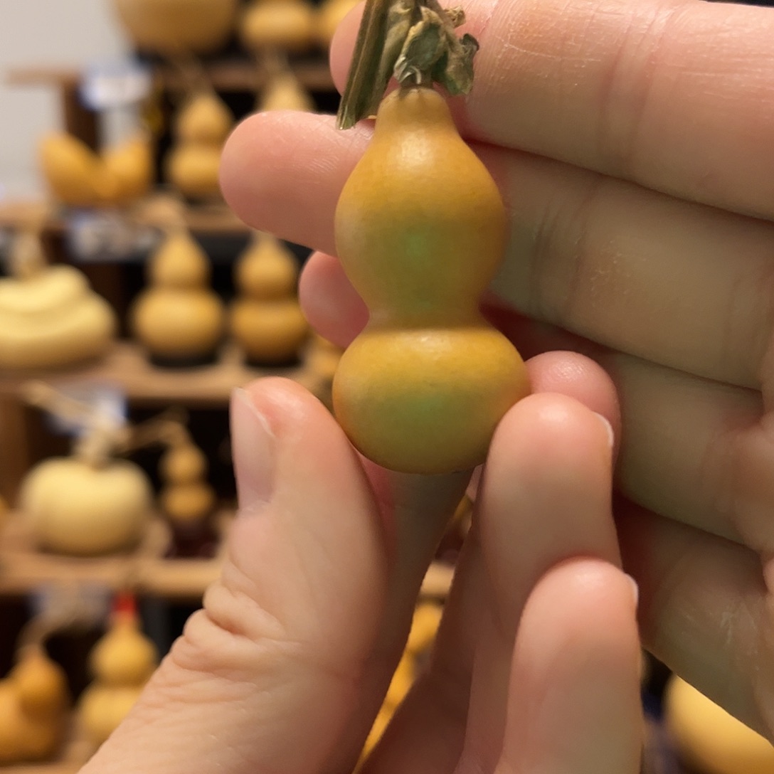小***。精品小尺寸草里金葫芦手把件
