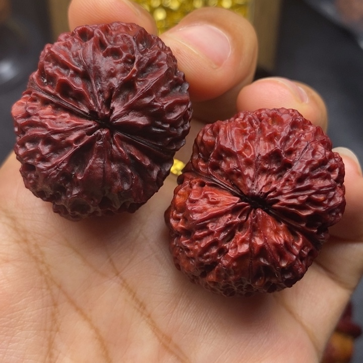 文玩核桃把件37尺铁狮子