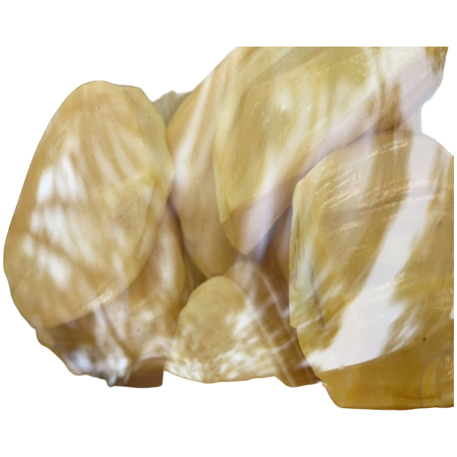 泰国金枕榴莲（19.9/斤）核小：鲜榴莲金枕泰国