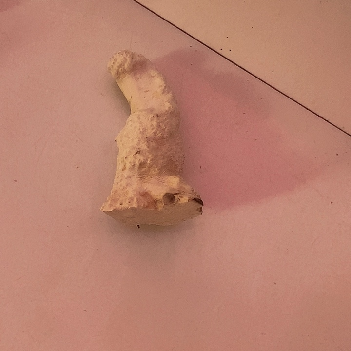 1***坊黄杨木等多种木材