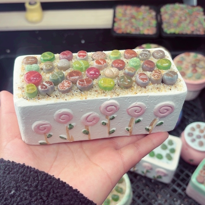 653零下地区记得拍保温箱满18包邮