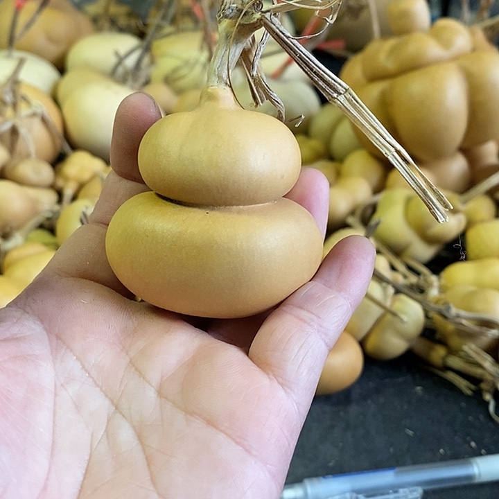 熙****a葫芦的颜色很好看