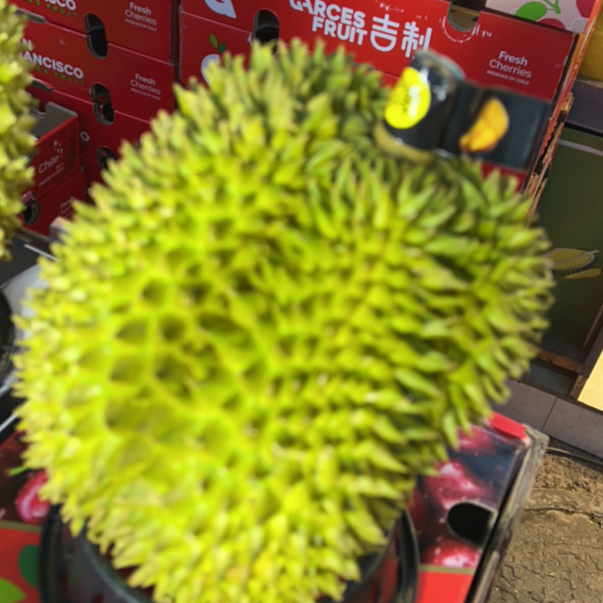 金枕榴莲金枕泰国