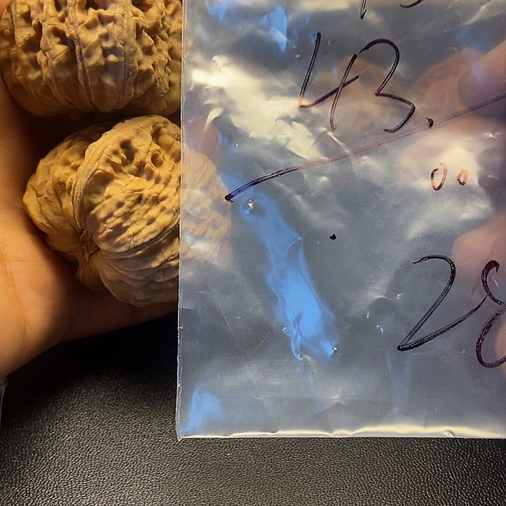好***~核桃二十八号文玩