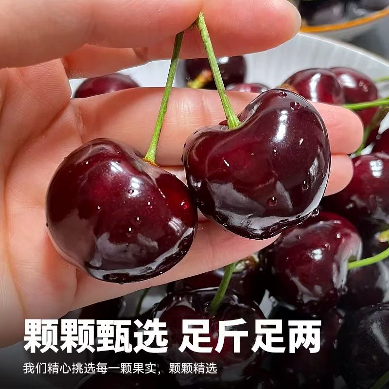 【顺丰空运】智利进口车厘子 3J 桑提娜 硬脆甜内附果径卡