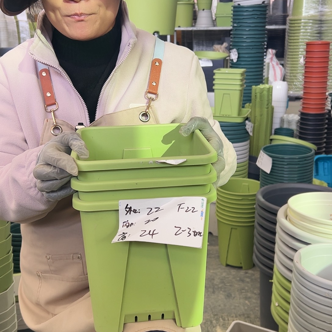 方盆F22#果绿色5个无托