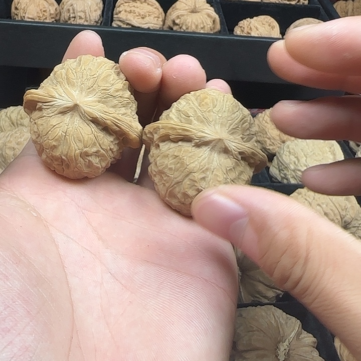 膜***构吊坠龙脊菩提啊啊啊啊啊南瓜9