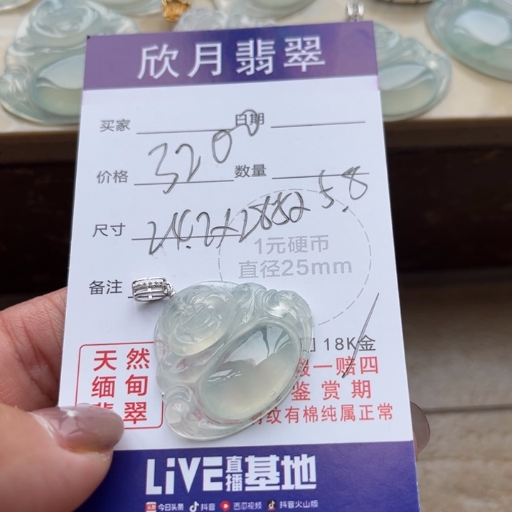 怎***啊翡翠未镶嵌颈饰天然