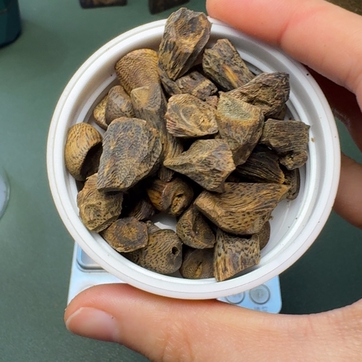 沉香手把件一**欢海南绿棋树丁老料20克