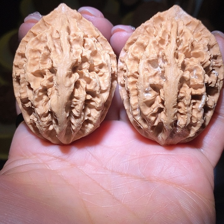 文玩核桃把件东北野生楸子小美5 1