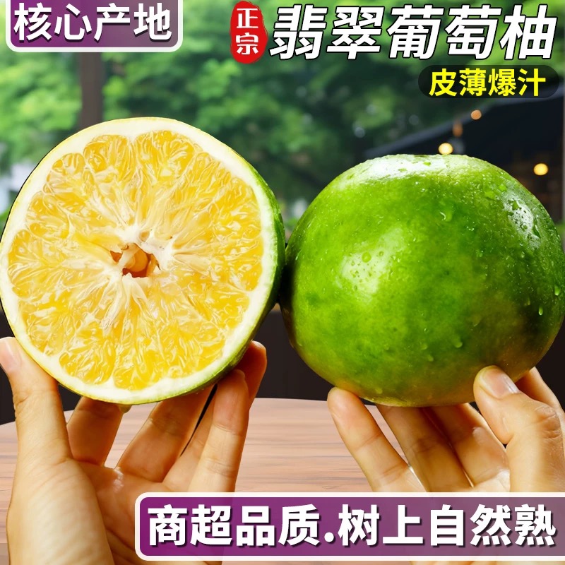 福建正宗翡翠青皮葡萄柚新鲜采摘清甜爆汁自家果园直发