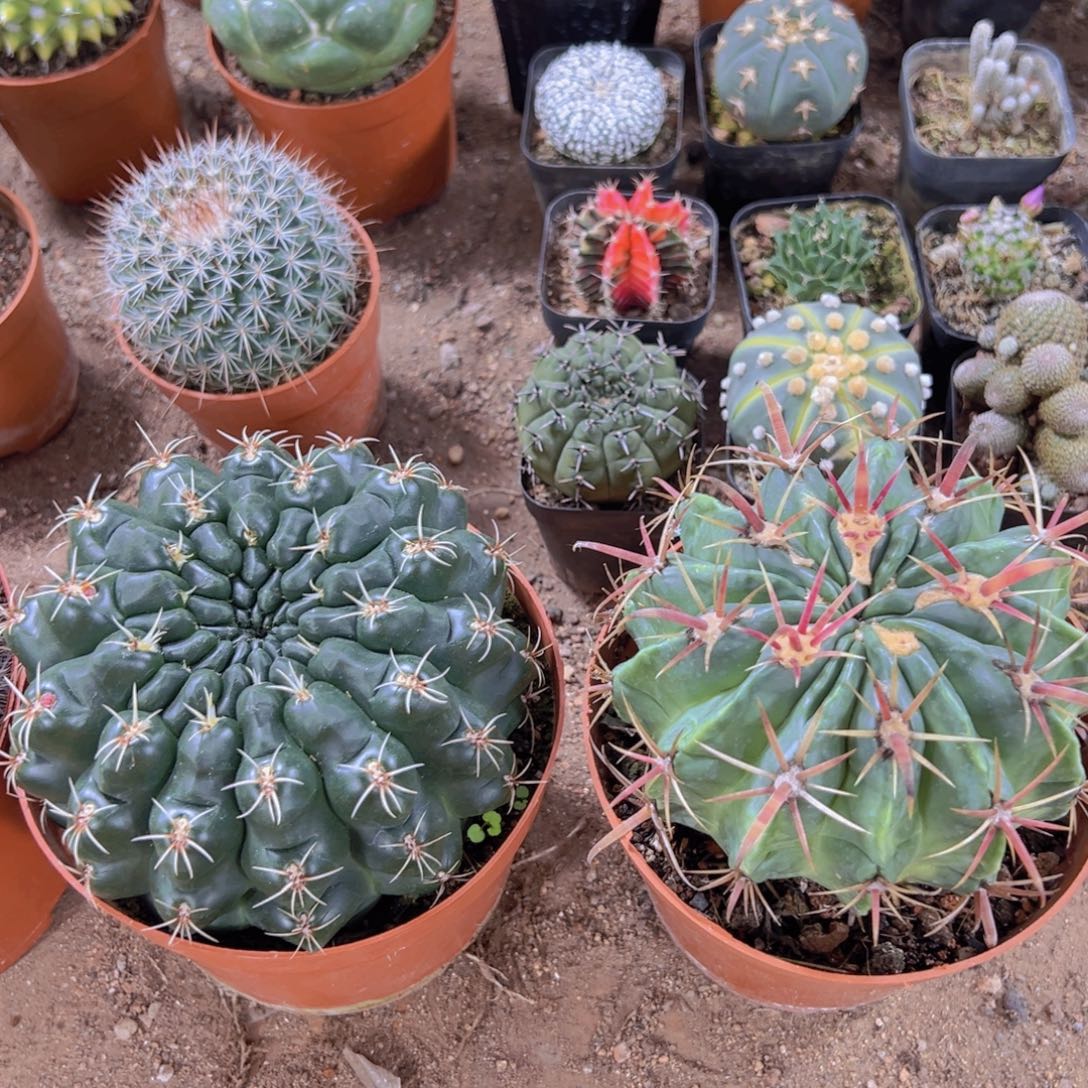 云***深是因为他不喜欢我在你心里就是