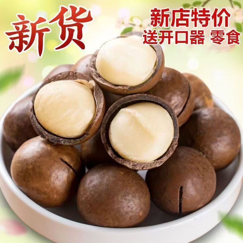 云南夏威夷果新鲜饱满壳薄肉厚奶香味十足美味零食干果休闲B13