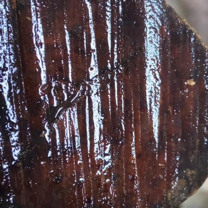 大***飞贡木把件定制不退不换