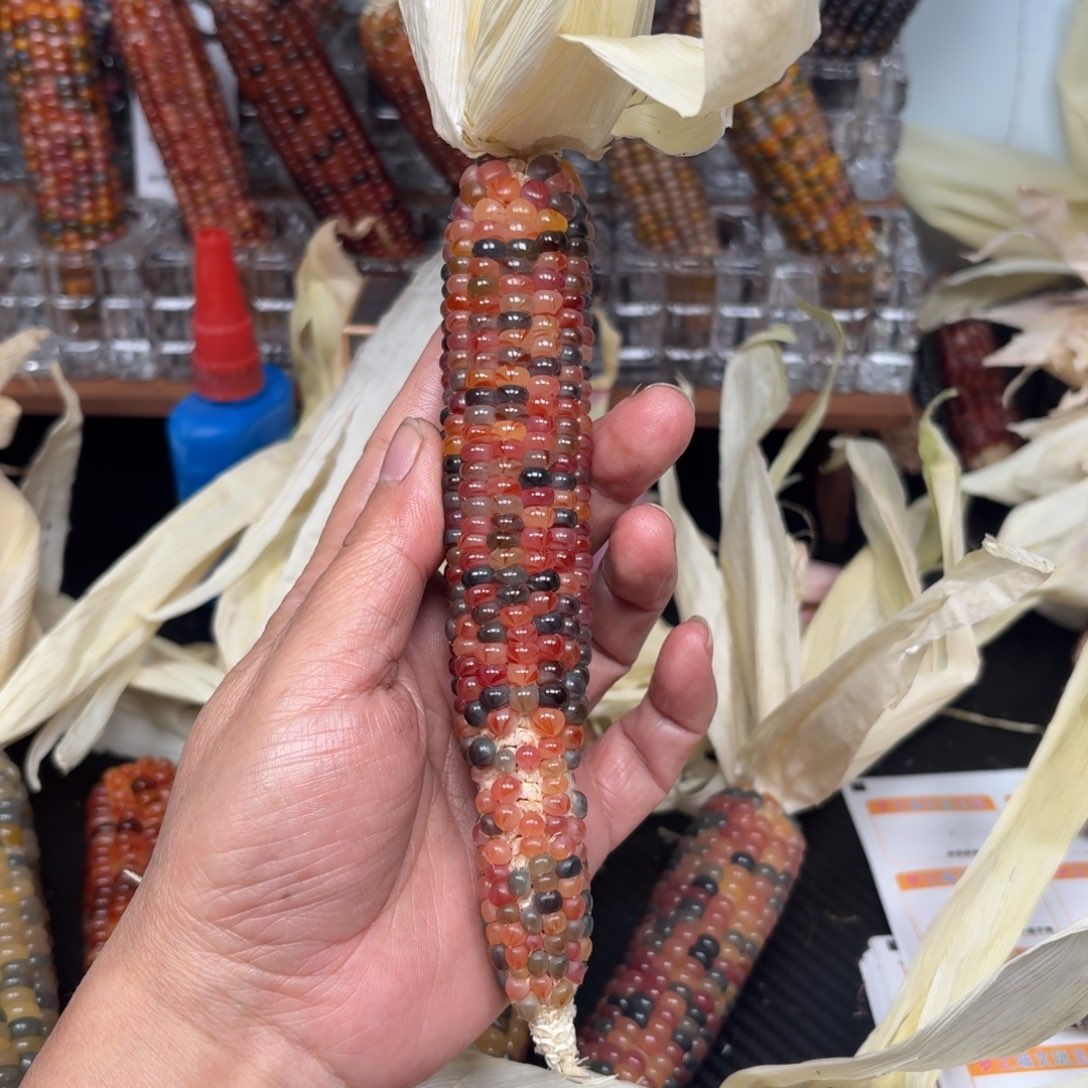 柏香籽/百香籽吊坠米*