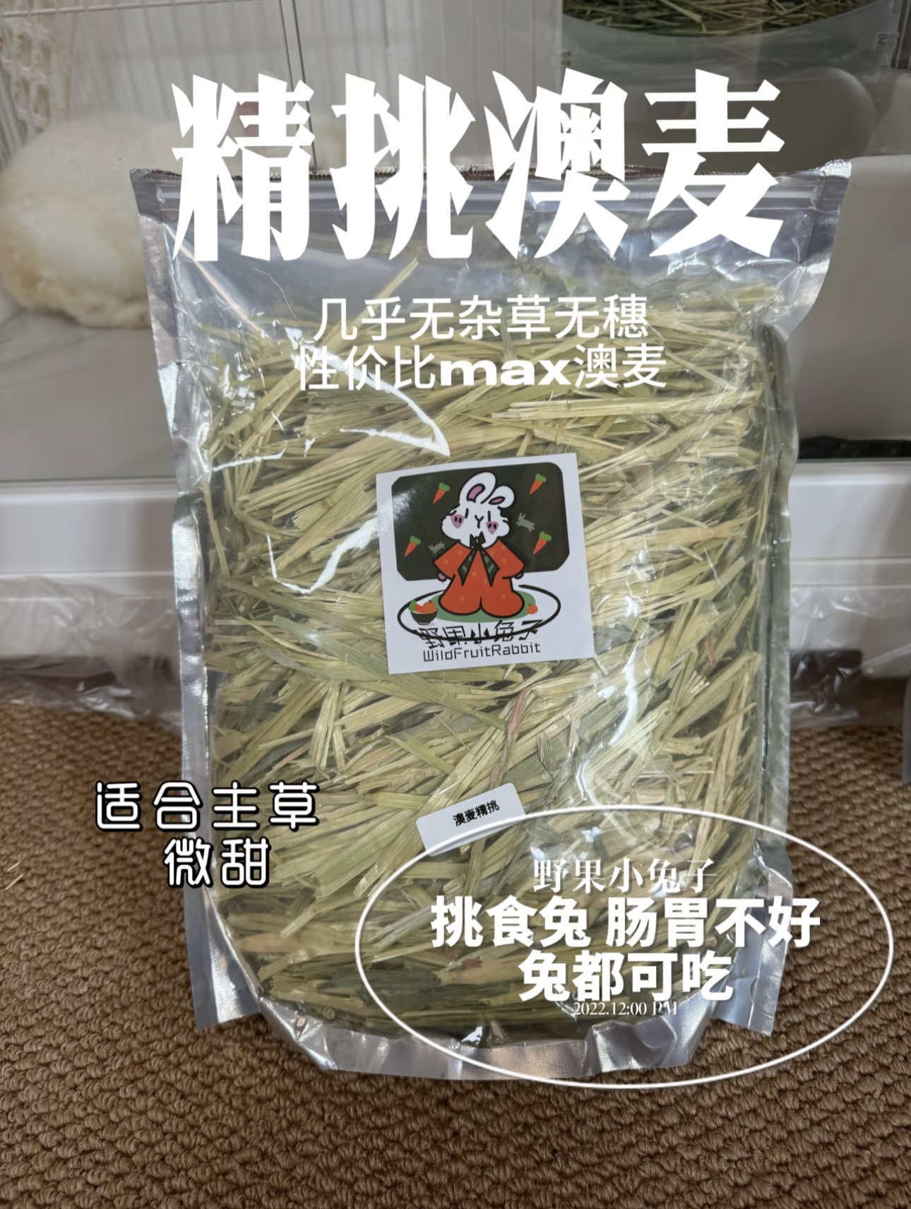 野果 黄金澳麦 兔子龙猫荷兰猪主草可替代提草燕麦草粗纤维黄豆豆