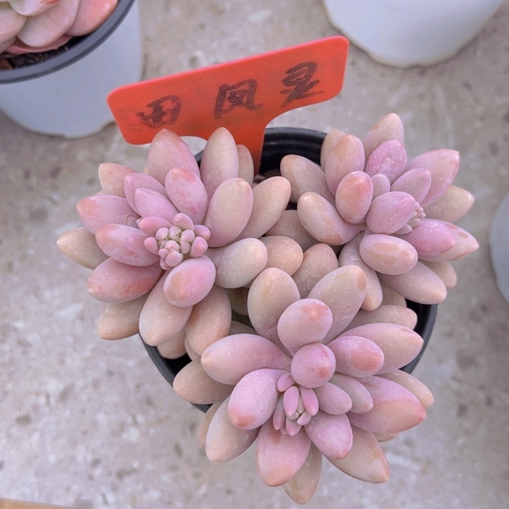 健健康康平平安安