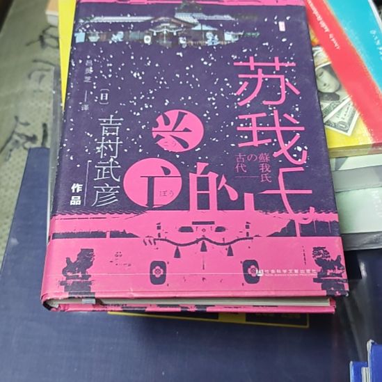 苏我世兴亡库存书（务必塑封）