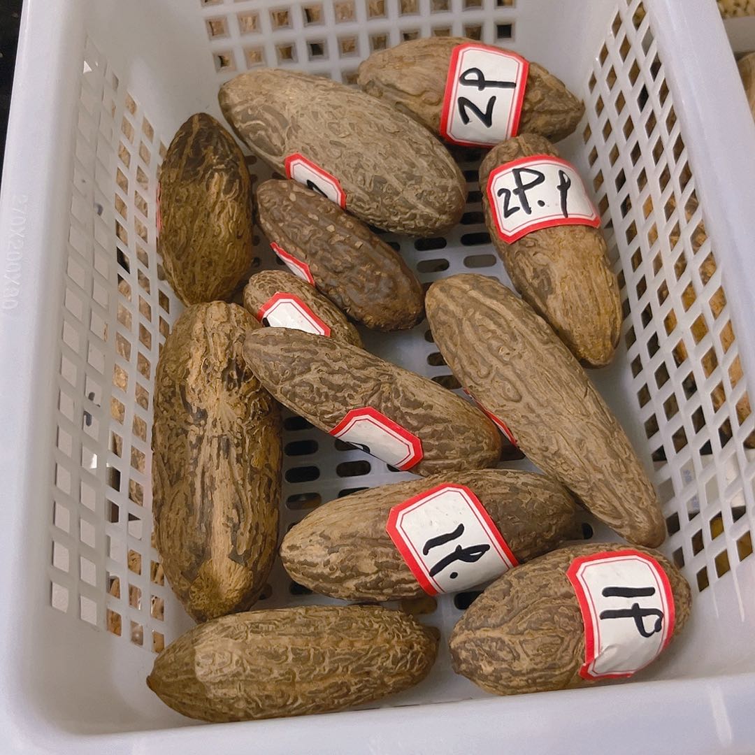 千眼菩提把件╭****千眼