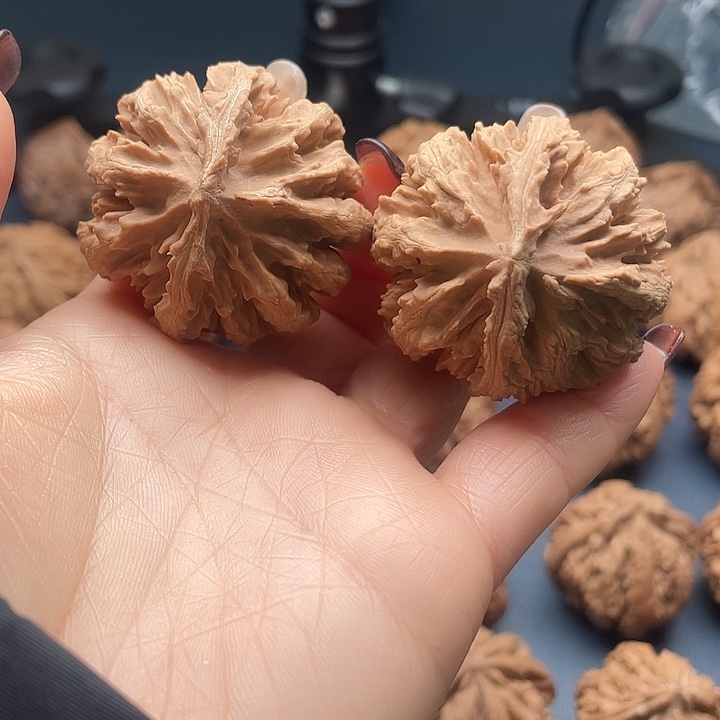 刚***^把件龙脊菩提秦岭核桃