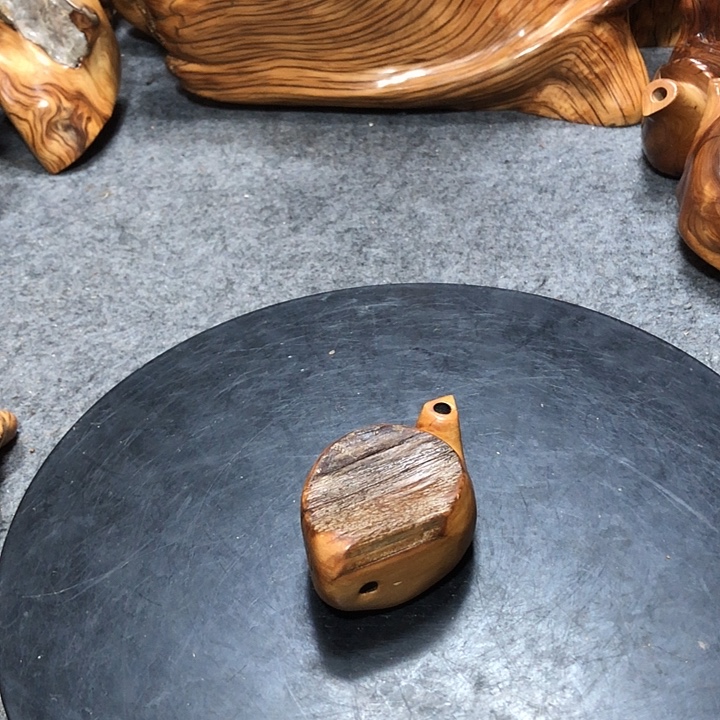 日***心柏木（崖柏）崖柏31