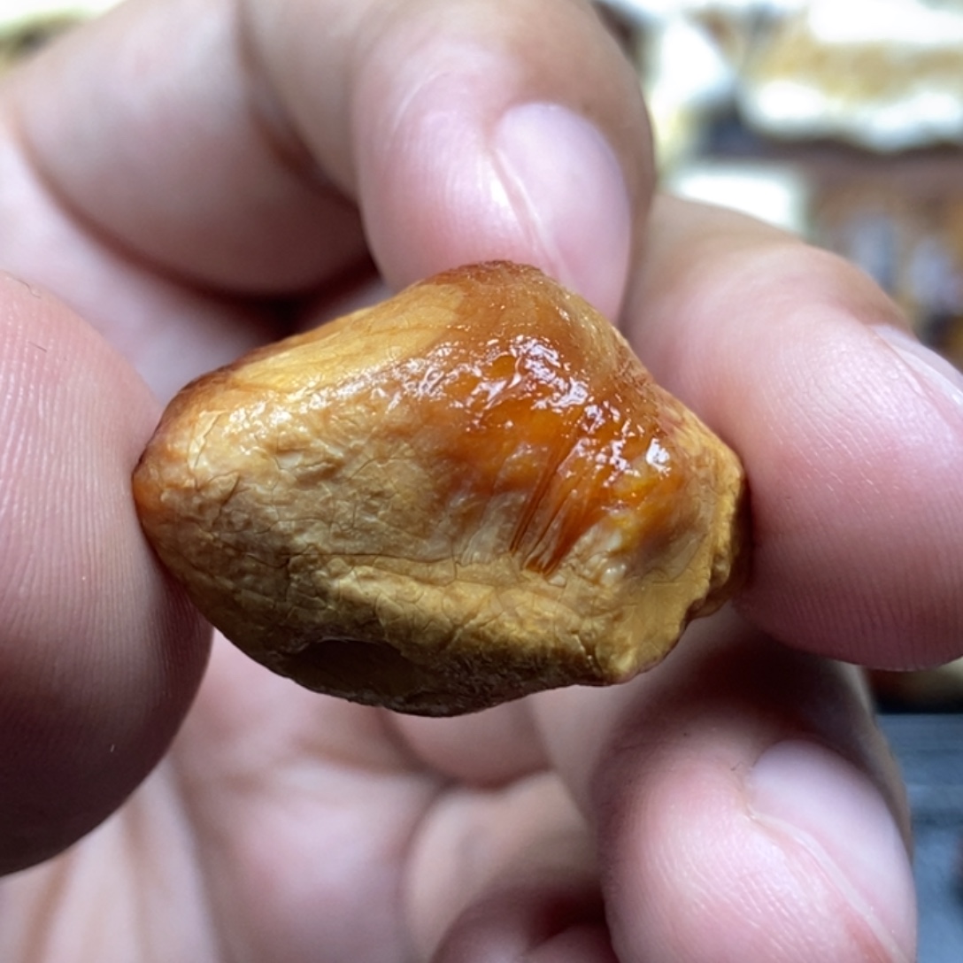定制琥珀未镶嵌定制琥珀