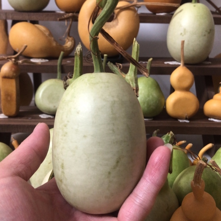 福利来啦，福利来啦