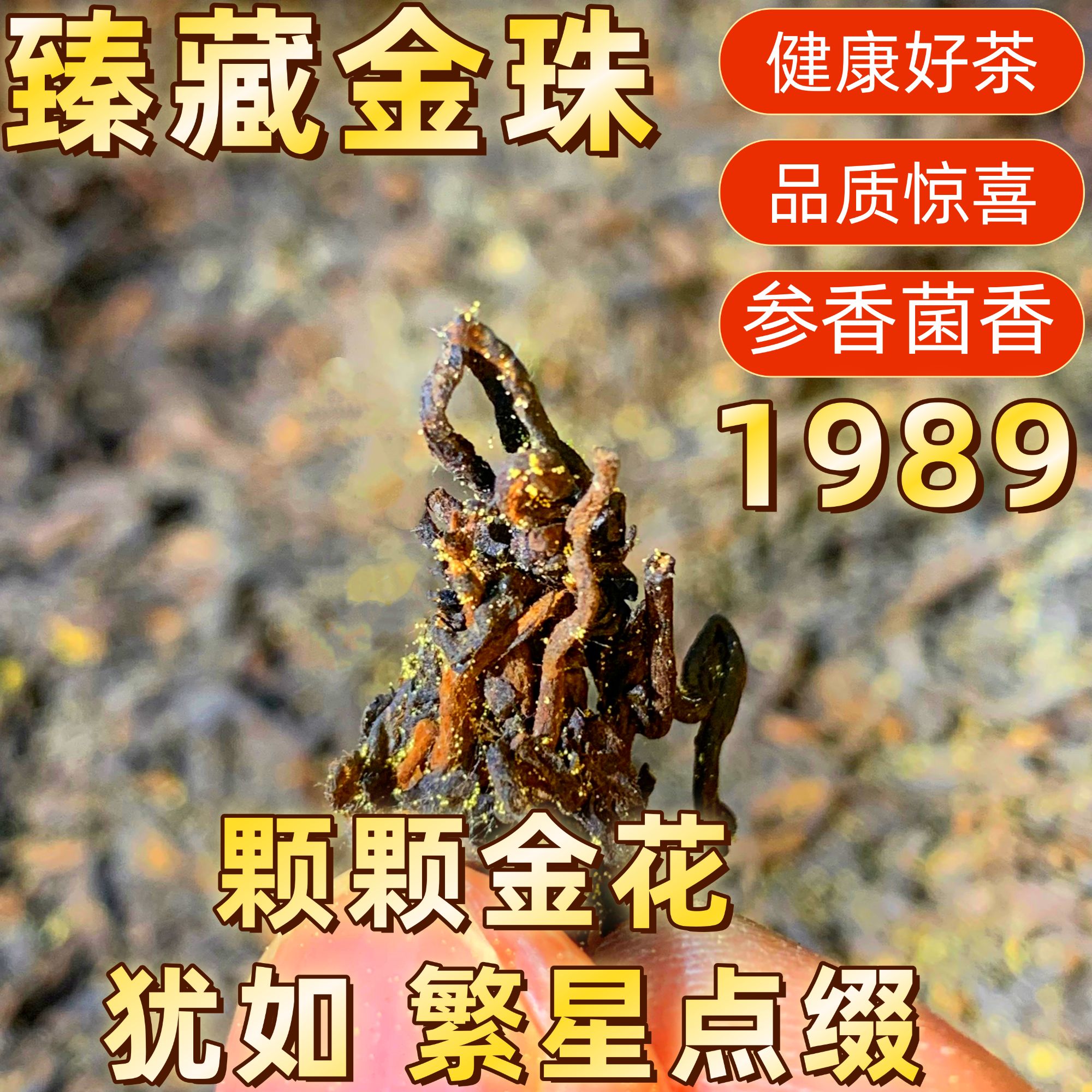 桂珍堡|1989黑茶珍品 参香与菌香交织 六堡茶 滋味绵柔 入口醇厚