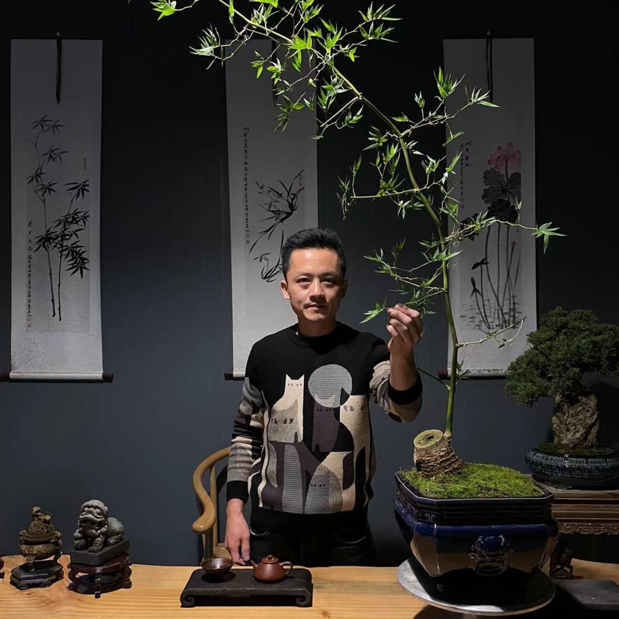 【叶胜园艺】盆景一物一拍--以直播间实物为准