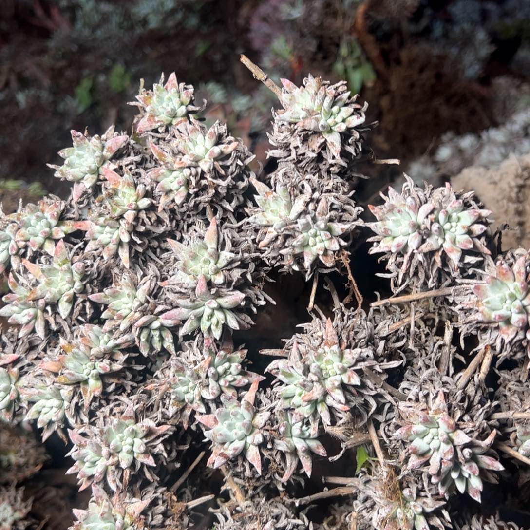 5738哈哈哈哈哈哈哈哈