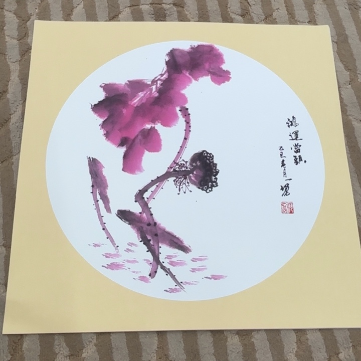 国画花鸟等多种鸟类的栖息地和栖息