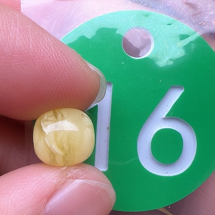 蜜蜡裸石未镶嵌8.2m m