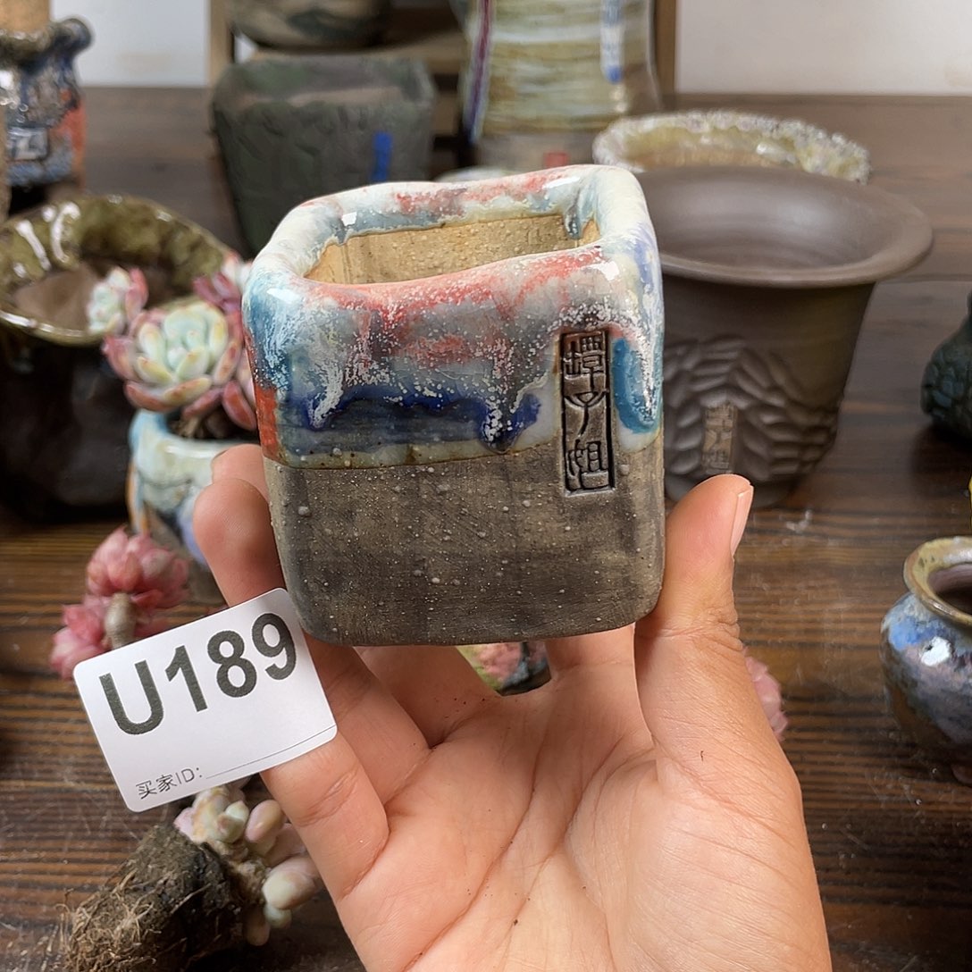 默认微次 跨年福利 坛子姐花盆