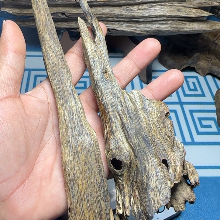 线香绿奇陆河虫漏41克