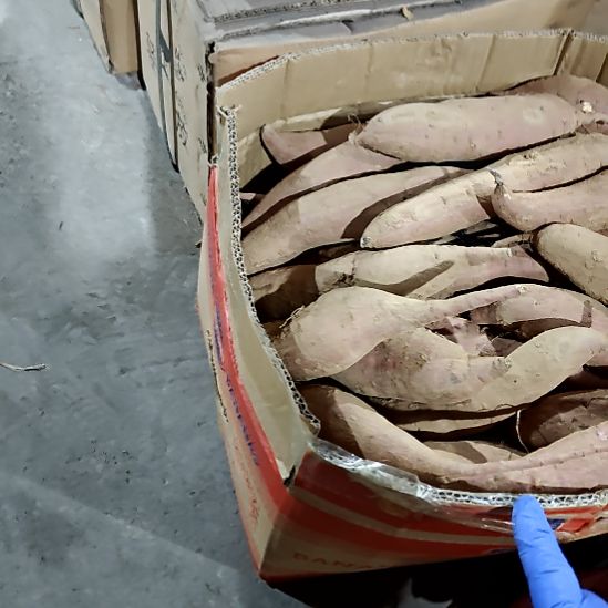 绿泥盘子碗茶壶啥都有盘子碗茶壶啥都有5斤