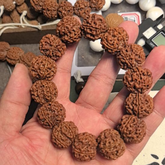 o***O手串金刚菩提原生态的大金刚手串，21左右尺寸，原皮原色的